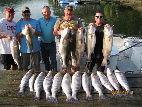 Nice Striped Bass